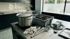 Reino Unido replantea cocinar langostas y pulpos vivos: qué cambia y por qué importa